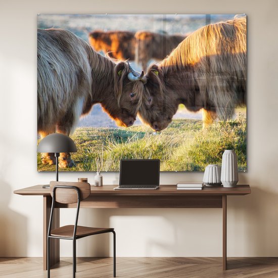 MuchoWow® Peinture sur verre 160x120 cm - Peinture sur verre acrylique - Highlanders écossais - Animaux - Soleil - Photo sur verre - Peintures