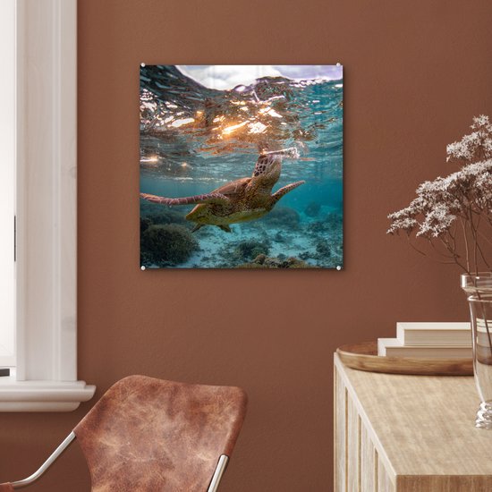 MuchoWow® Peinture sur Verre - Mer - Tortue - Couleurs - 50x50 cm - Peintures Acrylique - Photo sur Glas