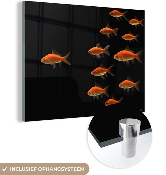 MuchoWow® Peinture sur verre - Poisson rouge - Animaux - Zwart - 80x60 cm - Peintures sur verre acrylique - Photo sur Glas