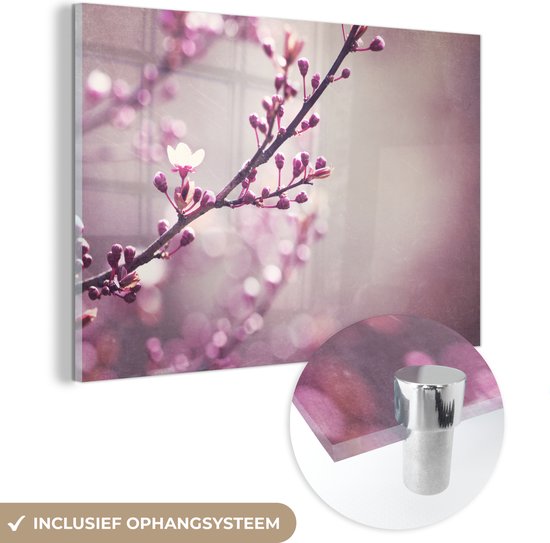 MuchoWow® Glasschilderij 60x40 cm - Schilderij acrylglas - Close-up van de paarse bloemen van een sakura - Foto op glas - Schilderijen