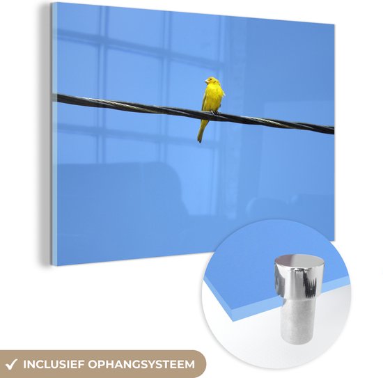 MuchoWow® Glasschilderij 120x80 cm - Schilderij acrylglas - Gele kanarie op een stroomkabel in de lucht - Foto op glas - Schilderijen
