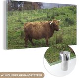 MuchoWow® Glasschilderij 40x20 cm - Schilderij acrylglas - Schotse Hooglander - Gras - Water -Dieren - Foto op glas - Schilderijen