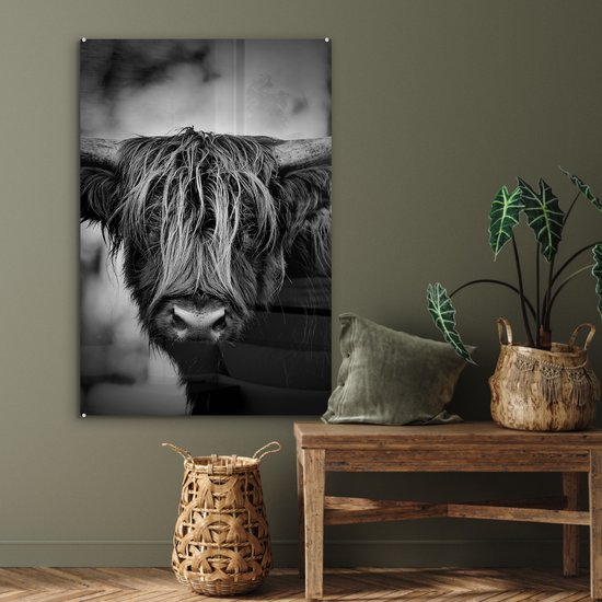 MuchoWow® Peinture sur verre 60x90 cm - Peinture sur verre acrylique - Highlander écossais - Lumière - Portrait - Nature - Photo sur verre - Peintures