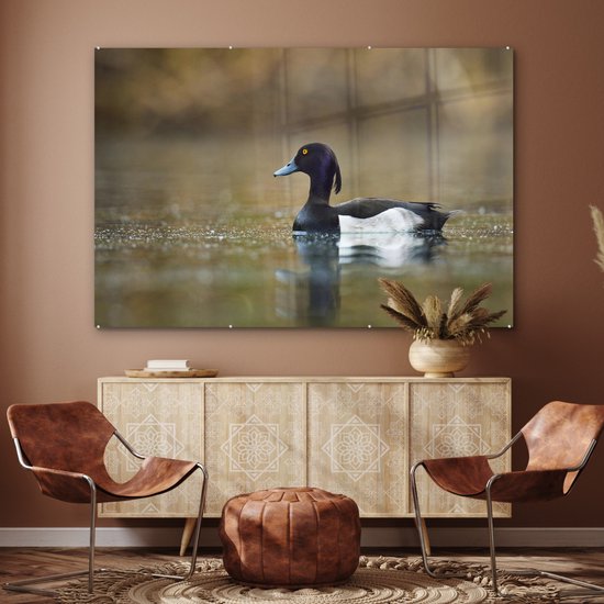 MuchoWow® Peinture sur verre 180x120 cm - Peinture sur verre - Canard tufté - Water - Vogel - Photo sur verre acrylique - Peintures