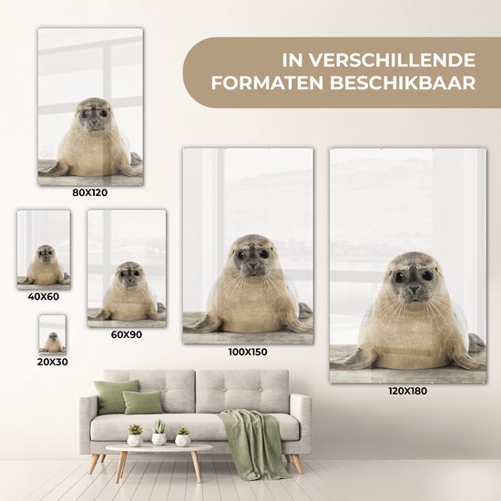 MuchoWow® Peinture sur verre 60x90 cm - Peinture sur verre acrylique - Sceau - Animaux - Enfant - Garçons - Filles - Enfants - Photo sur verre - Peintures