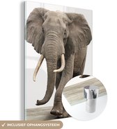 MuchoWow® Glasschilderij 60x80 cm - Schilderij acrylglas - Olifant - Kinderen - Jongens - Dieren - Meisjes - Foto op glas - Schilderijen