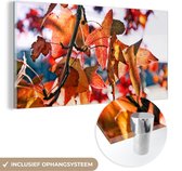 MuchoWow® Glasschilderij 40x20 cm - Schilderij acrylglas - Esdoorn - Bladeren - Landelijk - Herfst - Foto op glas - Schilderijen