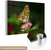 MuchoWow® Glasschilderij 90x60 cm - Schilderij acrylglas - Vlinder - Bloem - Kleuren - Foto op glas - Schilderijen