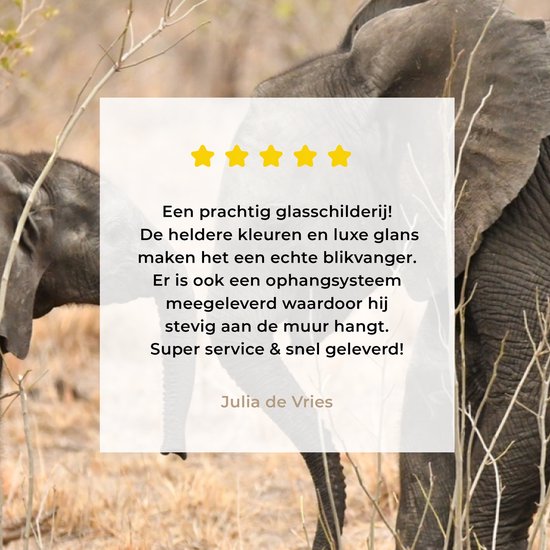 MuchoWow® Peinture sur verre - Deux jeunes éléphants - 150x100 cm - Peintures sur verre acrylique - Photo sur Glas