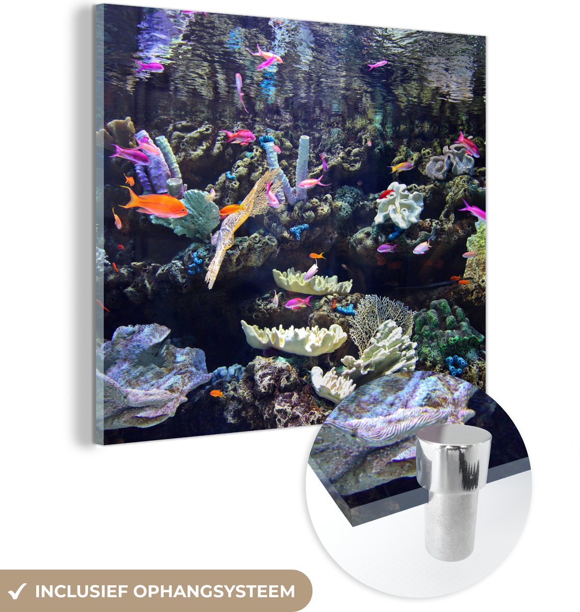 ® Glasschilderij 90x90 cm - Schilderij acrylglas - Kleurrijk aquarium - Foto op glas - Muurdecoratie woonkamer - Wanddecoratie slaapkamer - Schilderijen