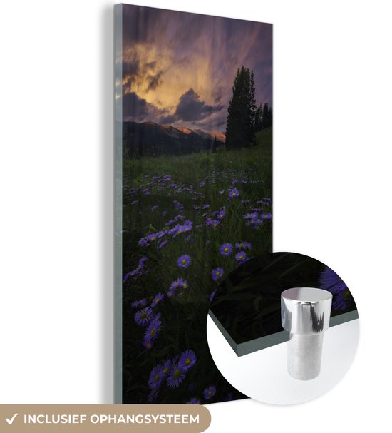 MuchoWow® Glasschilderij 40x80 cm - Schilderij acrylglas - Rocky Mountains - Bloemen - Schemer - Foto op glas - Schilderijen