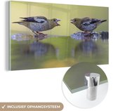 MuchoWow® Glasschilderij 160x80 cm - Schilderij acrylglas - Vogelbad - Vogel - Water - Foto op glas - Schilderijen