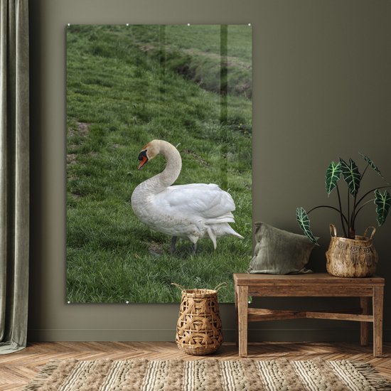 ® Glasschilderij 120x180 cm - Schilderij acrylglas - Zwaan - Gras - Natuur - Foto op glas - Muurdecoratie woonkamer - Wanddecoratie slaapkamer - Schilderijen