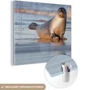 MuchoWow® Glasschilderij 90x90 cm - Schilderij acrylglas - Zeehond op het strand - Foto op glas - Schilderijen