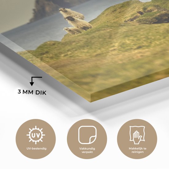 MuchoWow® Glasschilderij 60x40 cm - Schilderij acrylglas - Schapen aan de kust van Ierland - Foto op glas - Schilderijen