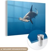Hammerhead Shark Glas 120x80 cm - Tirage photo sur Glas (décoration murale en plexiglas)