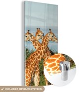 MuchoWow® Glasschilderij 60x120 cm - Schilderij acrylglas - Giraffen - Lucht - Dieren - Foto op glas - Schilderijen