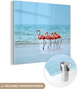 MuchoWow® Glasschilderij 20x20 cm - Schilderij acrylglas - Vier flamingo's lopen in het water - Foto op glas - Schilderijen