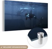 MuchoWow® Glasschilderij 80x40 cm - Schilderij acrylglas - Orkas onder water - Foto op glas - Schilderijen