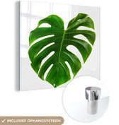 MuchoWow® Glasschilderij 50x50 cm - Schilderij acrylglas - Groot botanisch blad op een blanke achtergrond - Foto op glas - Schilderijen