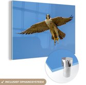 MuchoWow® Glasschilderij 30x20 cm - Schilderij acrylglas - Slechtvalk - Lucht - Roofvogel - Foto op glas - Schilderijen