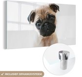 MuchoWow® Glasschilderij 80x40 cm - Schilderij acrylglas - Hond - Huisdieren - Portret - Foto op glas - Schilderijen