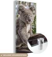 MuchoWow® Glasschilderij 80x160 cm - Schilderij acrylglas - Koala - Hout - Planten - Kids - Jongens - Meiden - Foto op glas - Schilderijen
