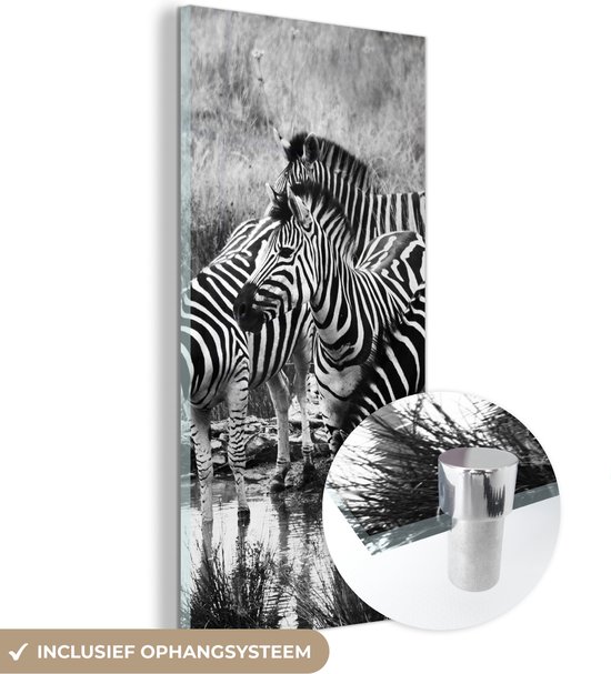 MuchoWow® Glasschilderij 80x160 cm - Schilderij acrylglas - Drinkende zebra's - Foto op glas - Schilderijen