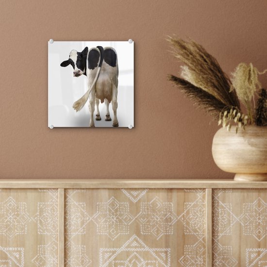 MuchoWow® Peinture sur verre 20x20 cm - Peinture sur verre acrylique - Vache regardant la caméra par derrière sur fond blanc - Photo sur verre - Peintures