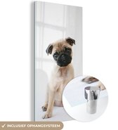 MuchoWow® Glasschilderij 40x80 cm - Schilderij acrylglas - Hond - Huisdieren - Portret - Foto op glas - Schilderijen