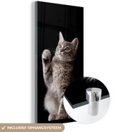 MuchoWow® Glasschilderij 20x40 cm - Schilderij acrylglas - Siberische kitten - Foto op glas - Schilderijen