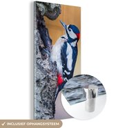 MuchoWow® Glasschilderij 20x40 cm - Schilderij acrylglas - Close-up van een grote bonte specht op een boomstam - Foto op glas - Schilderijen