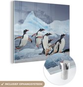 MuchoWow® Glasschilderij 50x50 cm - Schilderij acrylglas - Pinguïns springen uit het water - Foto op glas - Schilderijen