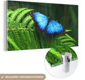 MuchoWow® Glasschilderij 40x20 cm - Schilderij acrylglas - Morpho vlinder - Foto op glas - Schilderijen