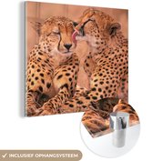 MuchoWow® Glasschilderij 20x20 cm - Schilderij acrylglas - Baby cheeta's - Foto op glas - Schilderijen