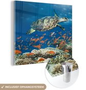 MuchoWow® Glasschilderij 90x90 cm - Schilderij acrylglas - Koraalrif met schildpad - Foto op glas - Schilderijen