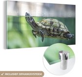 MuchoWow® Glasschilderij 160x80 cm - Schilderij acrylglas - Close-up foto van schildpad - Foto op glas - Schilderijen