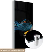 MuchoWow® Glasschilderij 80x160 cm - Schilderij acrylglas - Vogel - Veren - Tak - Zwart - Foto op glas - Schilderijen