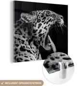 MuchoWow® Peinture sur Verre - Jaguar - Animal - Zwart - Wit - 90x90 cm - Peintures sur Verre Acrylique - Photo sur Glas