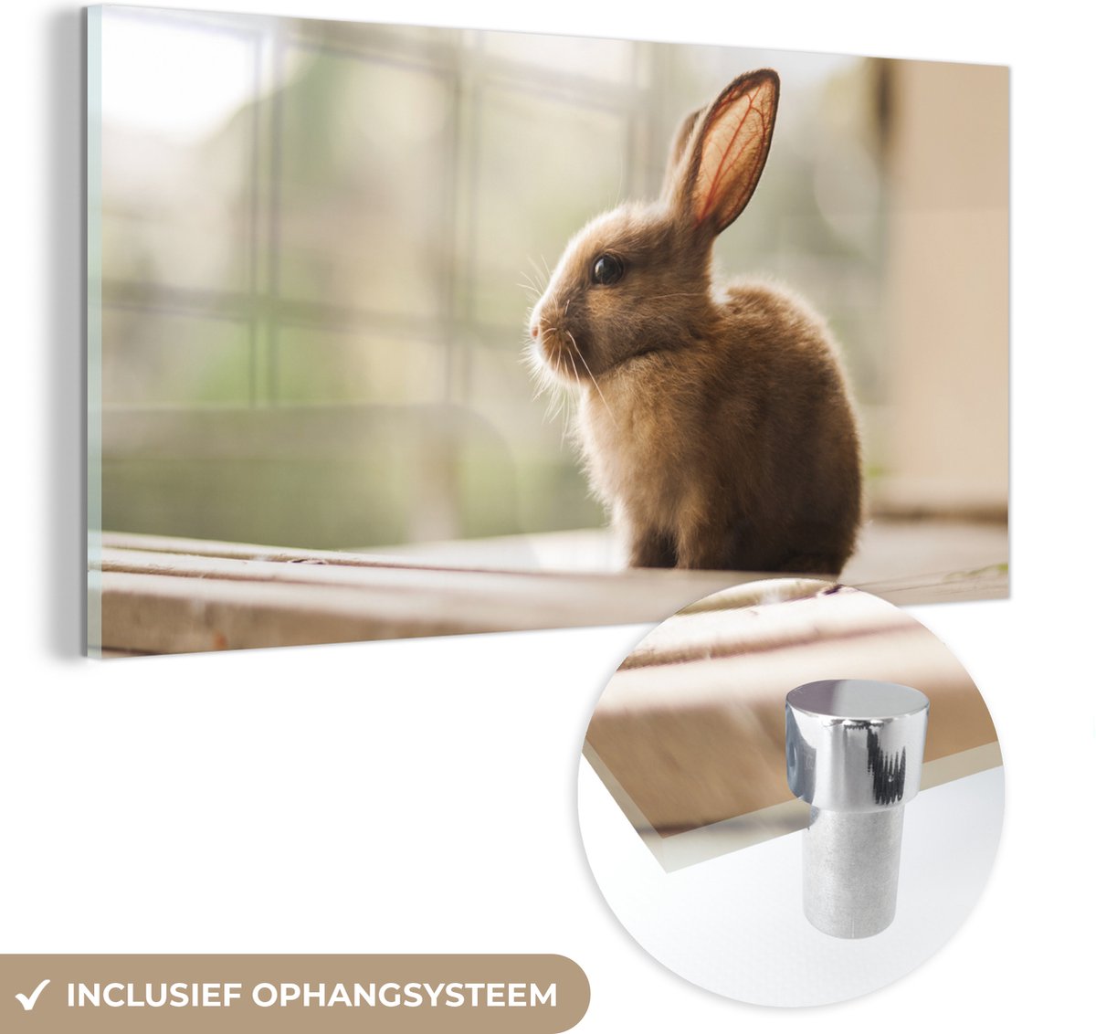 ® Glasschilderij 120x60 cm - Schilderij acrylglas - Konijn - Baby - Dier - Foto op glas - Muurdecoratie woonkamer - Wanddecoratie slaapkamer - Schilderijen