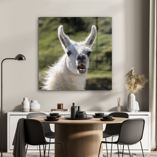 MuchoWow® Peinture sur verre 90x90 cm - Peinture sur verre - Lama - Drôle - Enfants - Garçons - Filles - Kids - Photo sur verre acrylique - Peintures