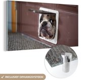 MuchoWow® Peinture sur Verre - Chien - Drôle - Laisses pour chats - 120x60 cm - Peintures sur Verre Peintures - Photo sur Glas