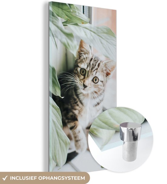 MuchoWow® Glasschilderij 40x80 cm - Schilderij acrylglas - Kat - Kitten - Planten - Foto op glas - Schilderijen