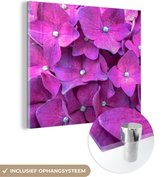 MuchoWow® Glasschilderij 90x90 cm - Schilderij acrylglas - Close-up roze hortensia bloemen - Foto op glas - Schilderijen