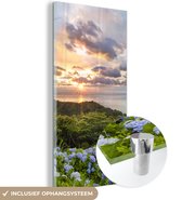 MuchoWow® Glasschilderij 20x40 cm - Schilderij acrylglas - Zonsondergang met hortensias - Foto op glas - Schilderijen