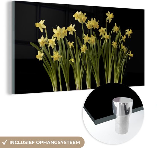 MuchoWow® Peinture sur verre 40x20 cm - Peinture sur verre acrylique - Jonquilles multiples avec ampoules sur fond noir - Photo sur verre - Peintures