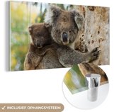 MuchoWow® Glasschilderij 160x80 cm - Schilderij acrylglas - Koala's - Kind - Boom - Kinderen - Jongens - Meiden - Foto op glas - Schilderijen