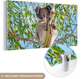 MuchoWow® Glasschilderij 40x20 cm - Schilderij acrylglas - Koala - Bladeren - Lucht - Kinderen - Jongens - Meiden - Foto op glas - Schilderijen