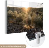 MuchoWow® Peinture sur verre 90x60 cm - Peinture sur verre acrylique - Coucher de soleil sur l'oliveraie - Photo sur verre - Peintures