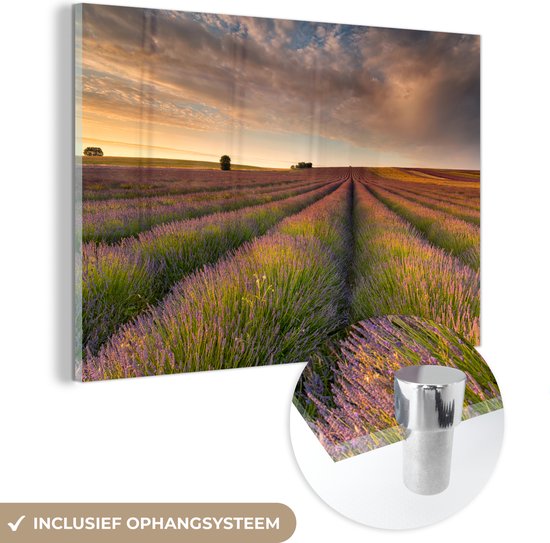 MuchoWow® Peinture sur verre 60x40 cm - Peinture sur verre acrylique - Champs de lavande vallonnés au Royaume-Uni pendant le coucher du soleil - Photo sur verre - Peintures